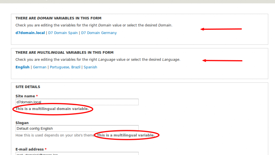 Screenshot - Settings form with domains and languages